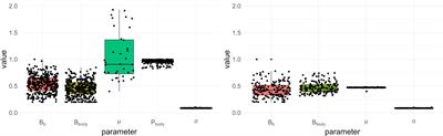 Predicting tomato water consumption in a hydroponic greenhouse: contribution of light interception models